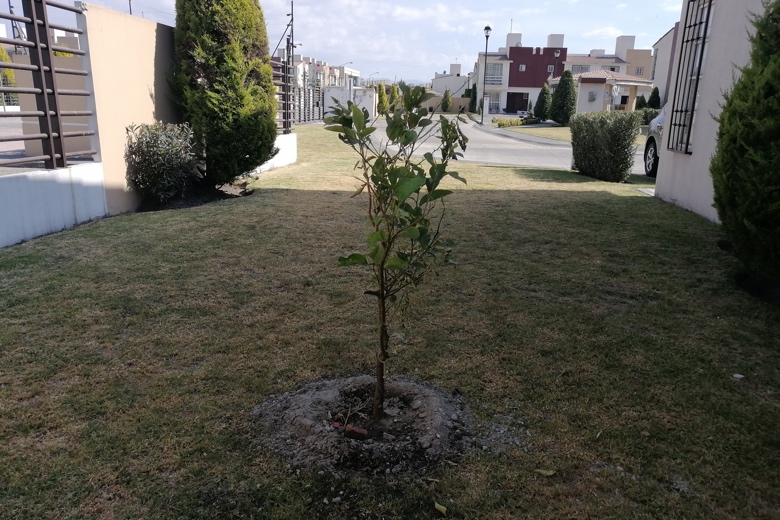 Sample project image